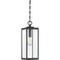 Quoizel Westover 1-Light Earth Black Mini Pendant WVR1507EK - alternate 2